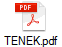 TENEK.pdf